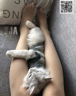 时间规划局