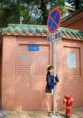 战地黄花