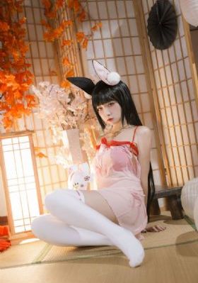 灰姑娘2