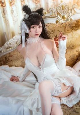 屠夫小姐